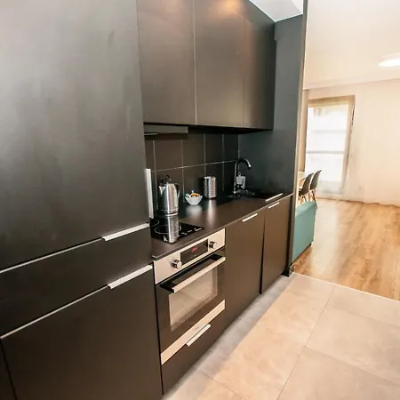 公寓 Batogospot Tumski 2 弗罗茨瓦夫